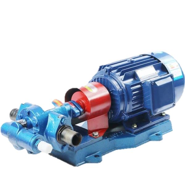 Sewa Rotor RK-55 Gear Pump di PT Arsindo
